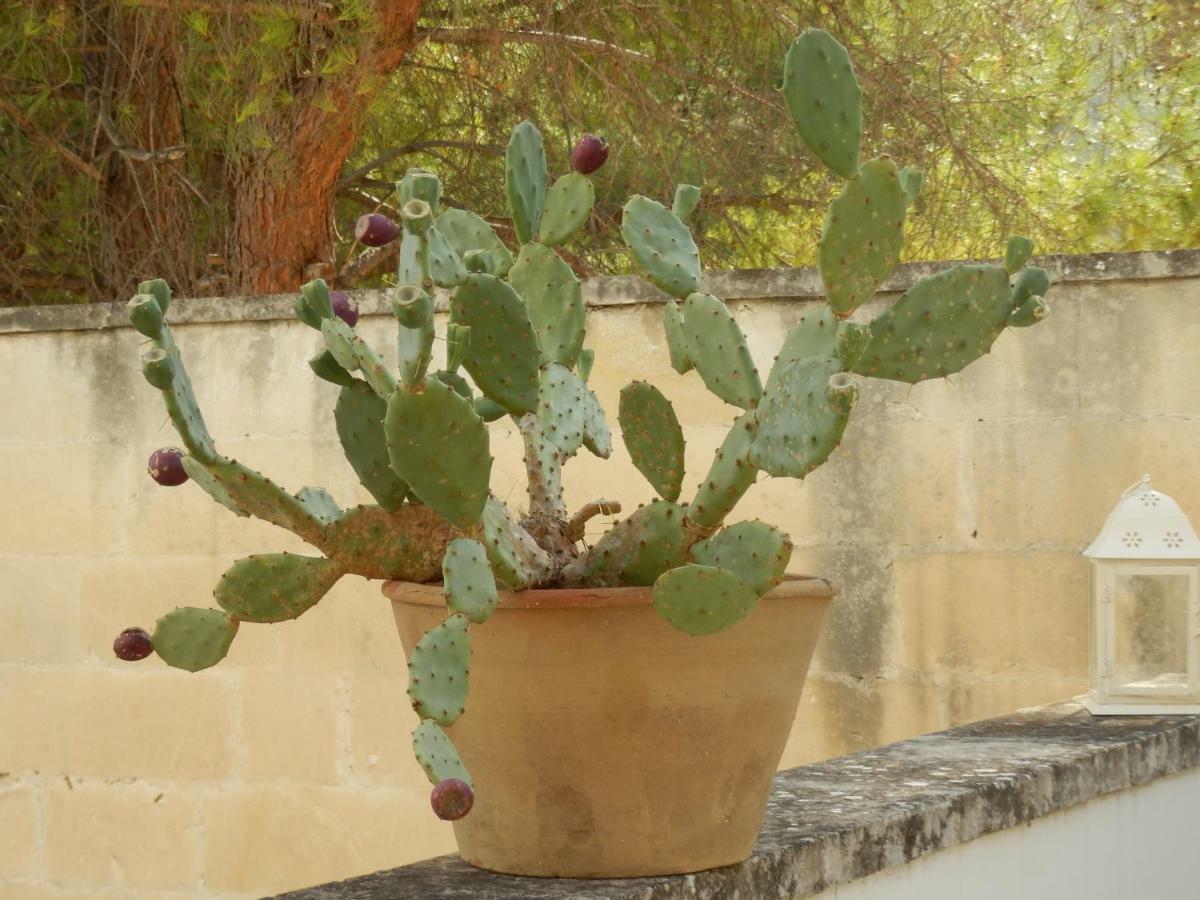 Casa vacanze Lauretta Lecce